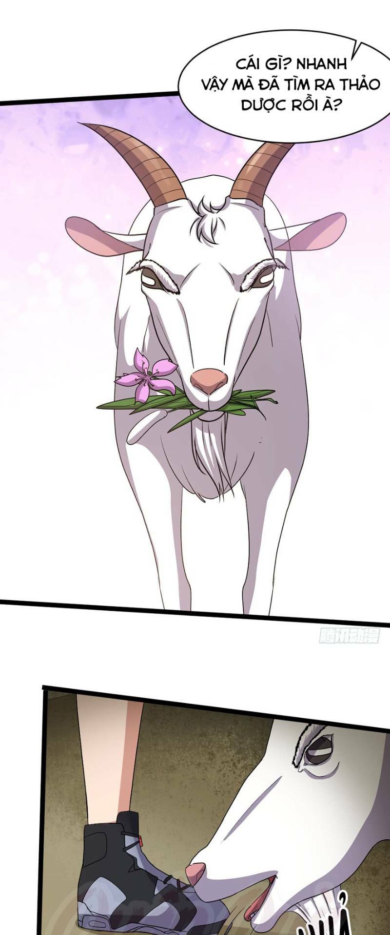 Thập Nhị Thiên Kiếp: Chapter 24