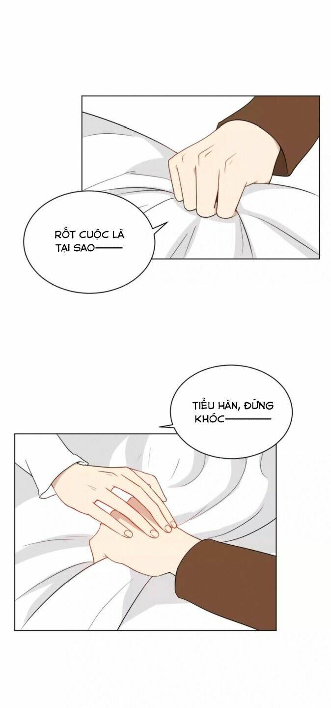 Chào Buổi Sáng, Hướng Dương: Chapter 39