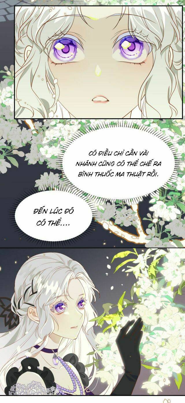 Ta Là Nữ Phụ Độc Ác: Chapter 4