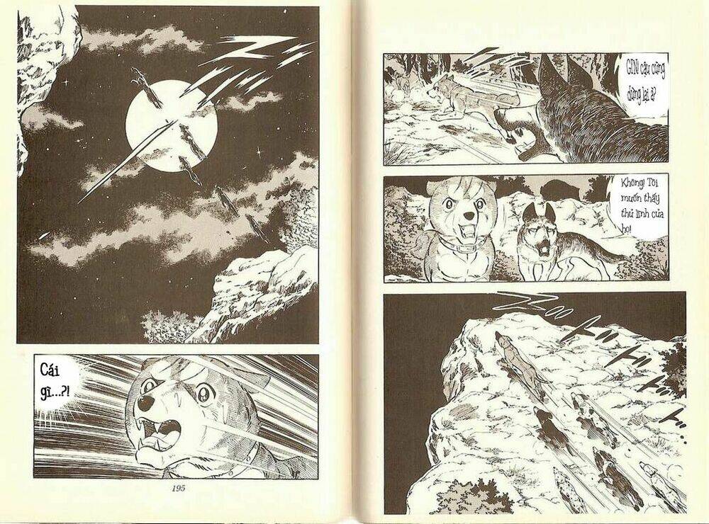 Chú Chó Có Nghĩa - Ginga Nagareboshi Gin: Chapter 10