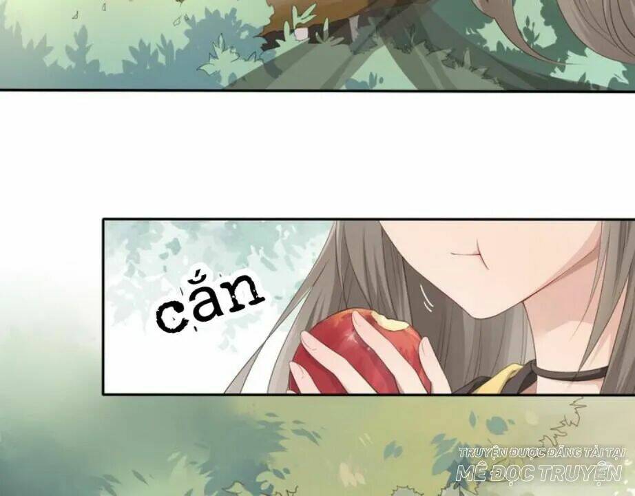 Tước Kiều Tiên: Chapter 1.1