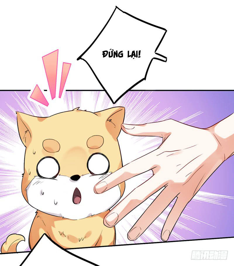 Lụ Đạn, Hôm Nay Lại Cũng Không Thể Biến Thành Người Được: Chapter 3