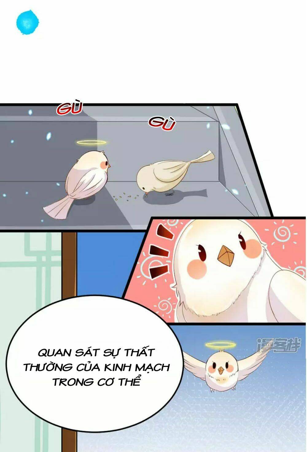 Đệ Tử Của Ta Là Heo: Chapter 5