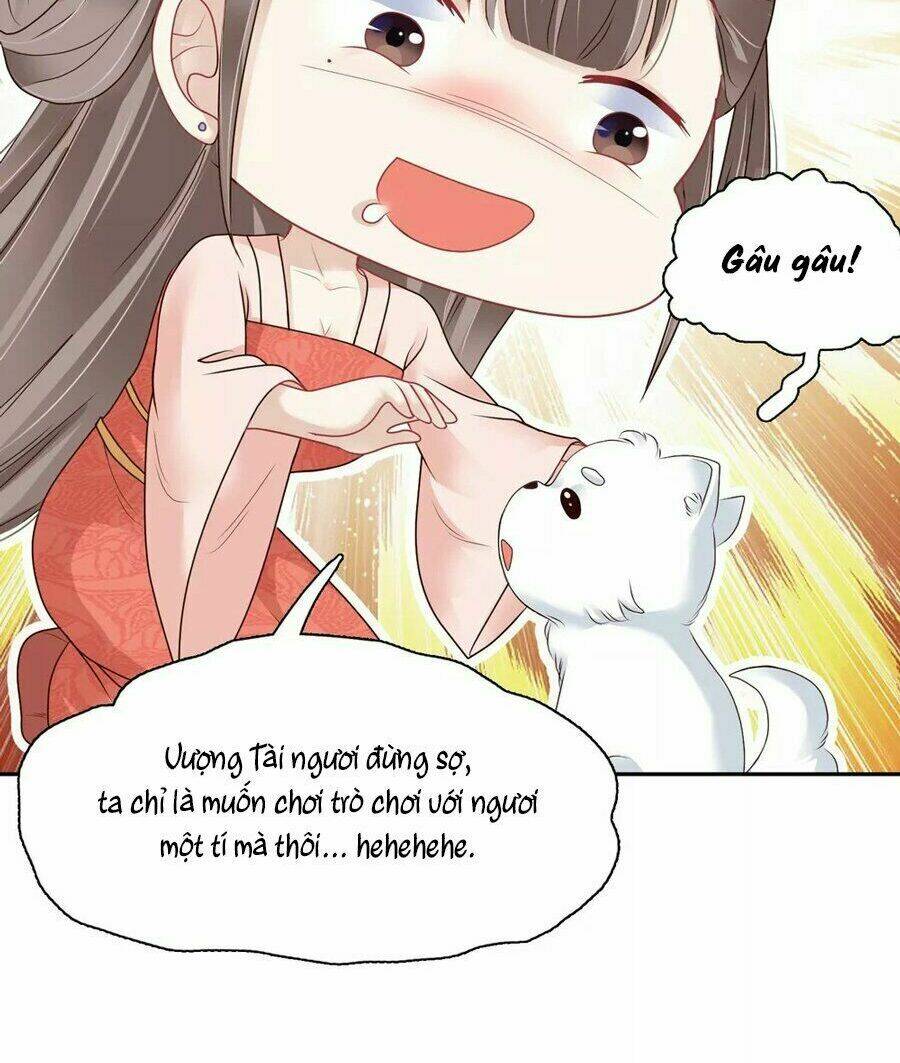 Phú Bà Bạc Tỷ Trong Lãnh Cung: Chapter 11
