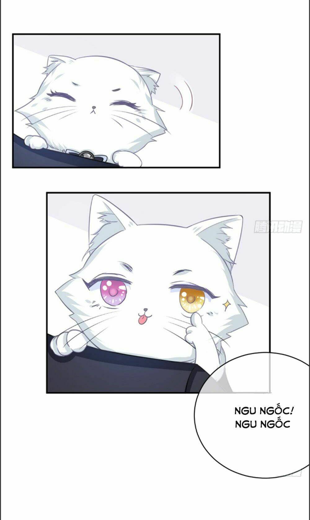 Cẩm Lý Thiếu Nữ Của Tôi: Chapter 6.1