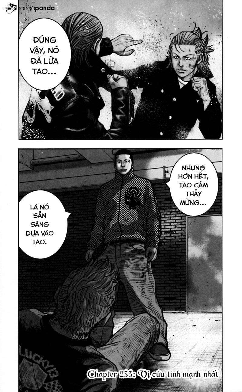 Clover: Chapter 233