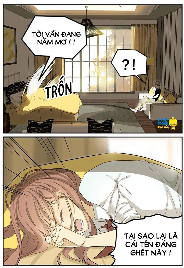 Cứu mạng ! Loài mèo thống trị thế giới rồi !: Chapter 3
