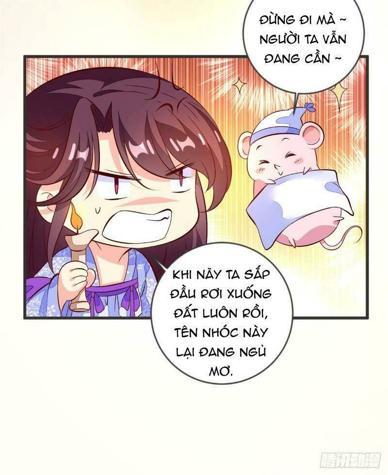 Đế Hoàng Chi Thần Y Khí Phi: Chapter 41