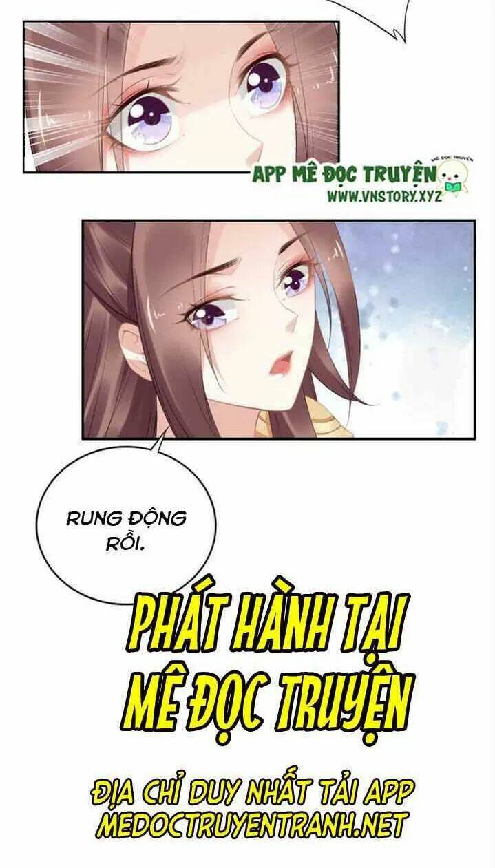 Nhất Sinh Nhất Thế Tiếu Thương Khung: Chapter 80