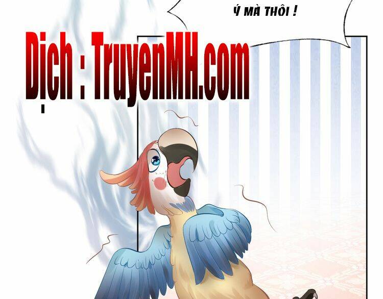 Nhất Sinh Nhất Thế Tiếu Thương Khung: Chapter 7