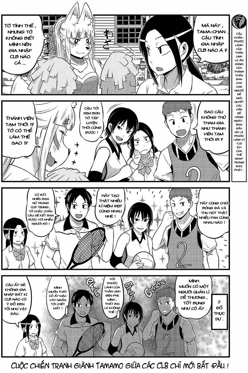 High School Inari Tamamo-Chan: Chapter 12