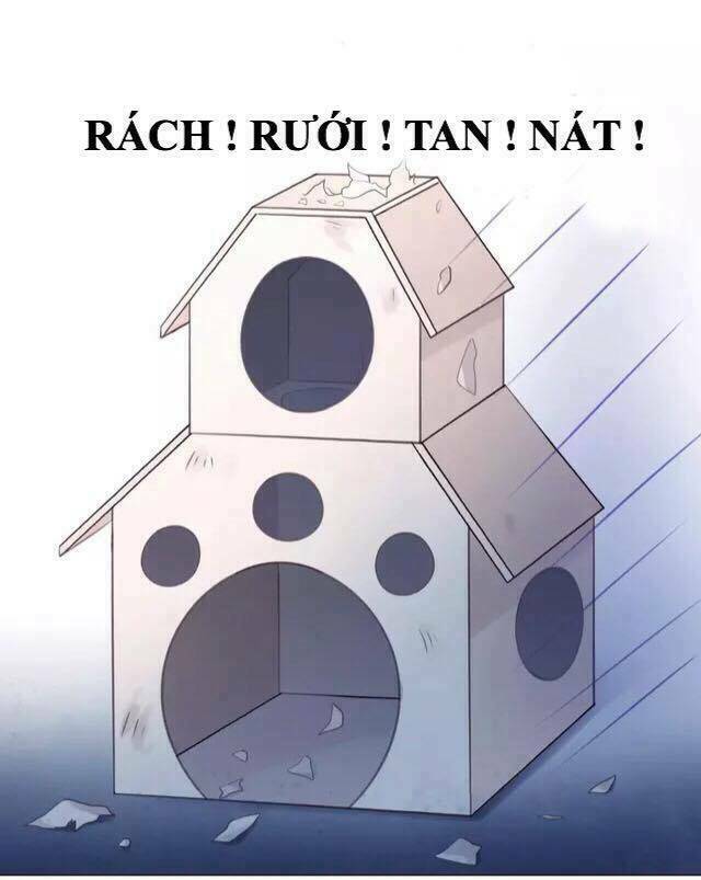 Dưới Móng Vuốt Mèo: Chapter 13