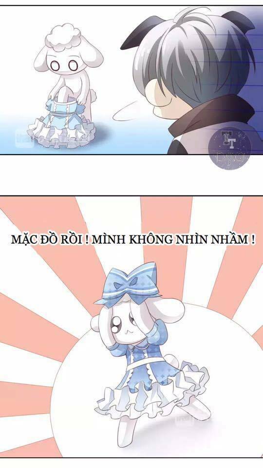 Dưới Móng Vuốt Mèo: Chapter 17