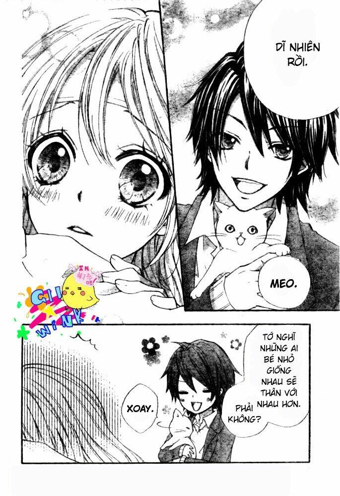 Tình Yêu Của Hiyo: Chapter 5