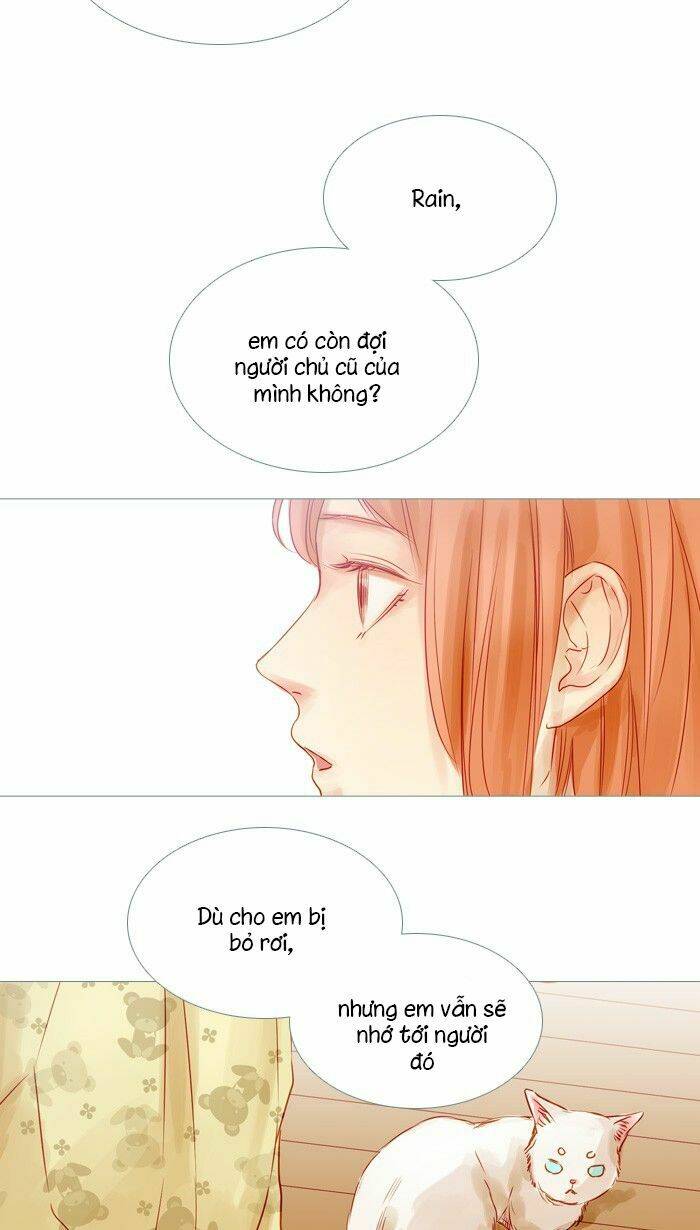 Little Rain: Chapter 19