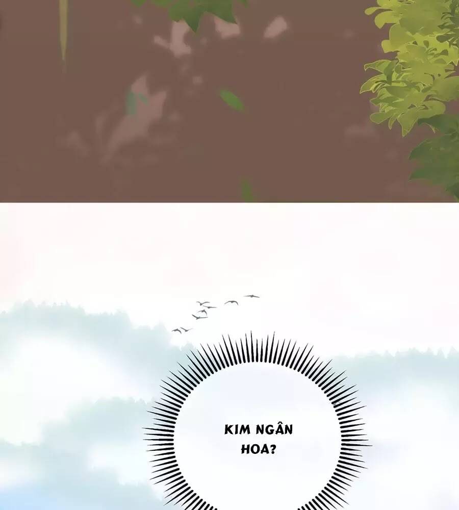 Trọng Sinh Chi Đích Nữ Bất Thiện: Chapter 8
