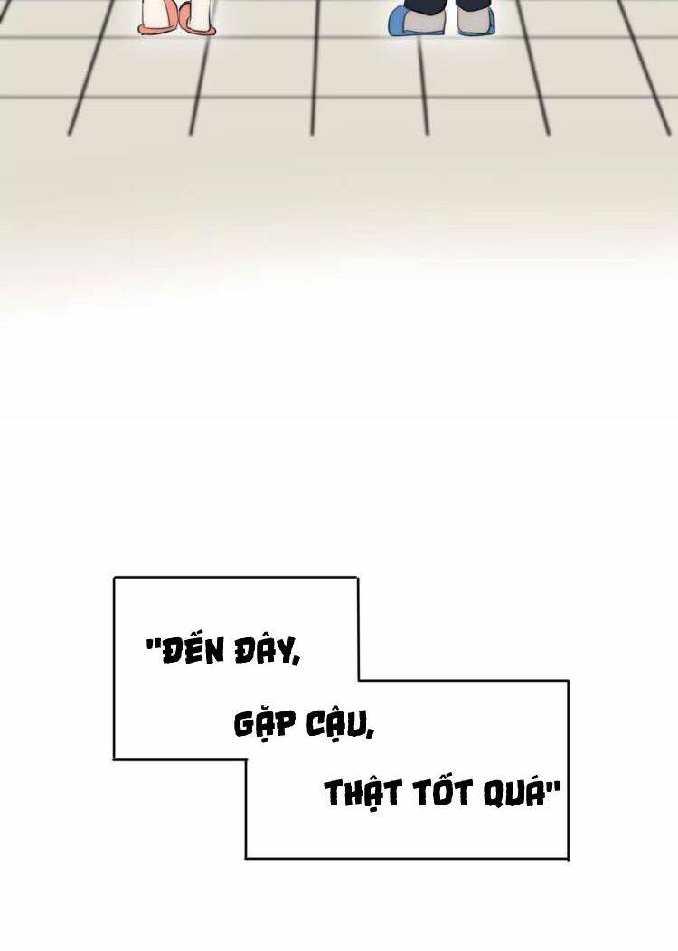 Tiểu Miêu Và Hắc Diệu Thạch: Chapter 11