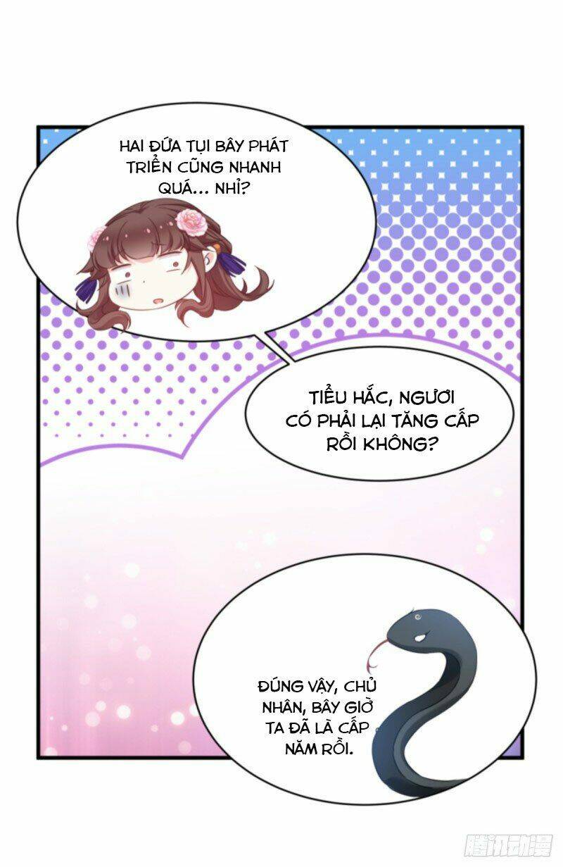 Trò Chơi Trừng Phạt: Chapter 81