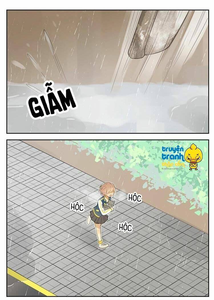 Cứu Mạng! Loài Mèo Thống Trị Thế Giới Rồi!: Chapter 26