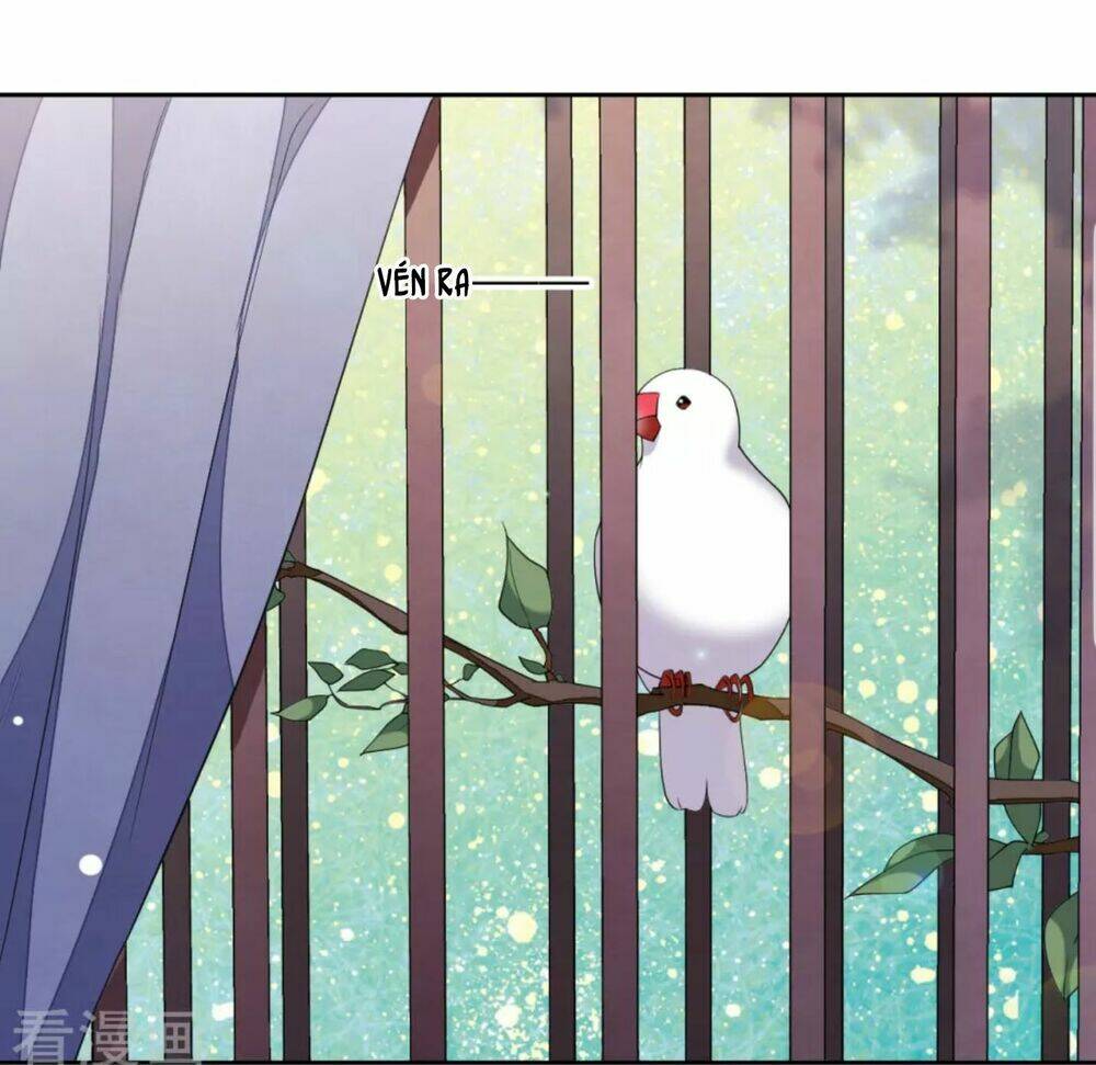 Xuyên Về Cổ Đại Làm Quốc Bảo: Chapter 48