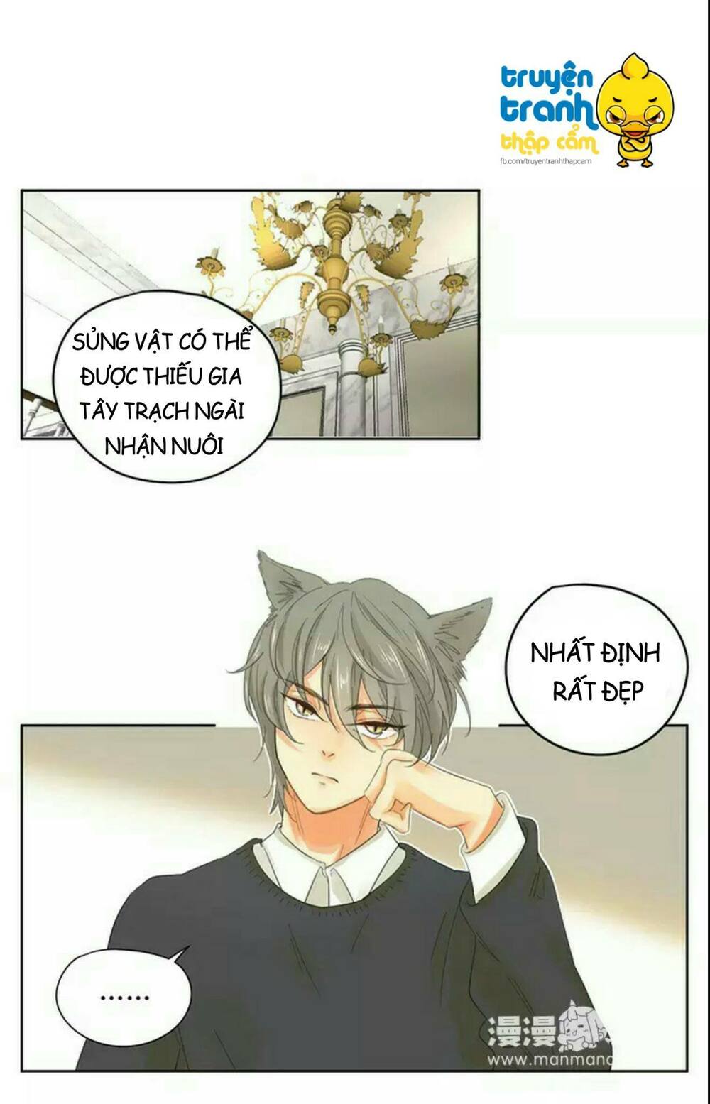 Cứu mạng ! Loài mèo thống trị thế giới rồi !: Chapter 39