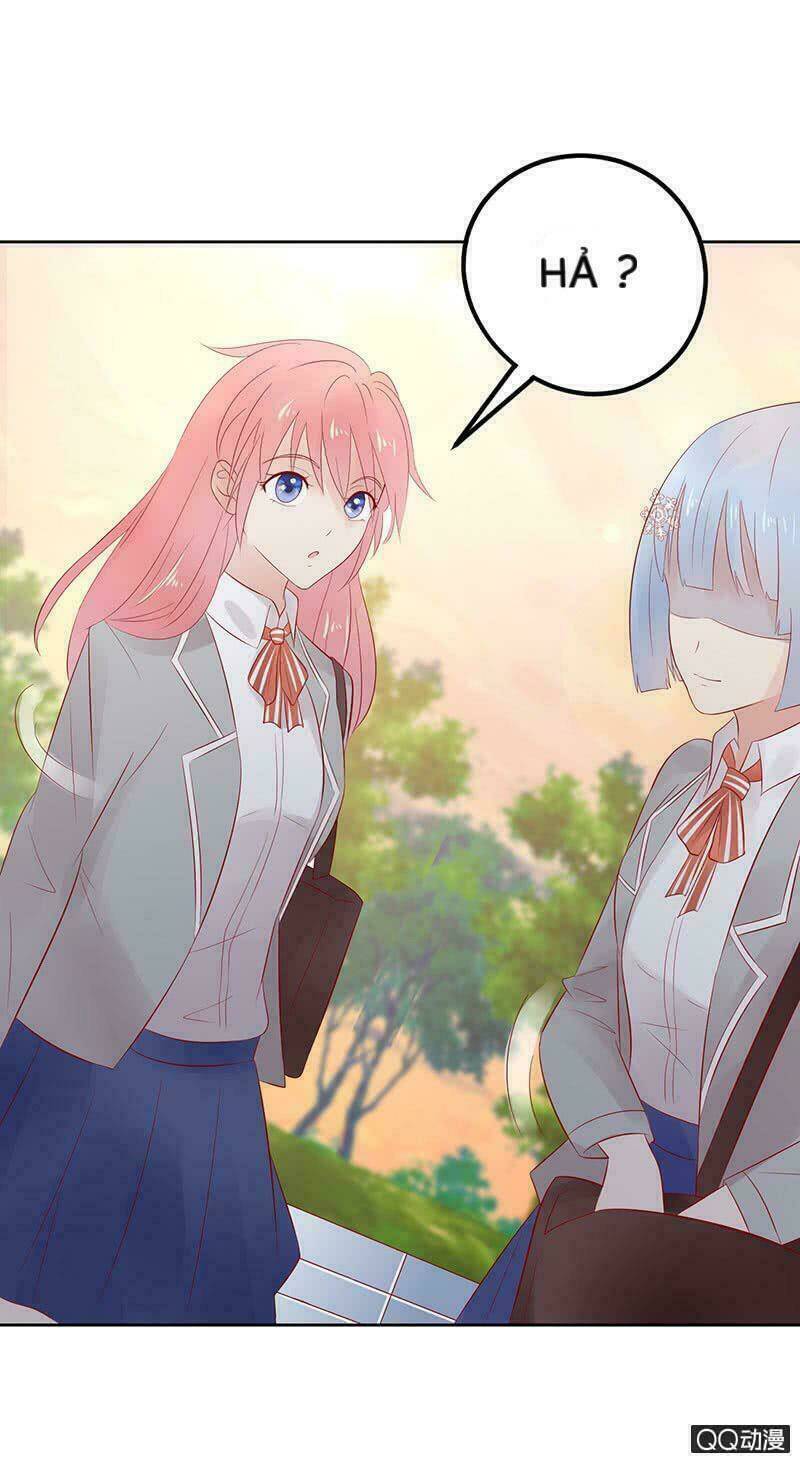 Băng Sơn Học Trưởng Không Được Chọc: Chapter 22