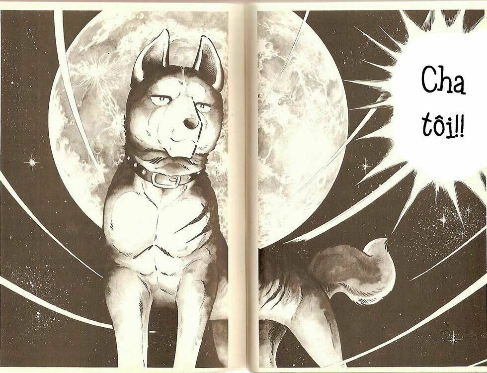 Chú Chó Có Nghĩa - Ginga Nagareboshi Gin: Chapter 11