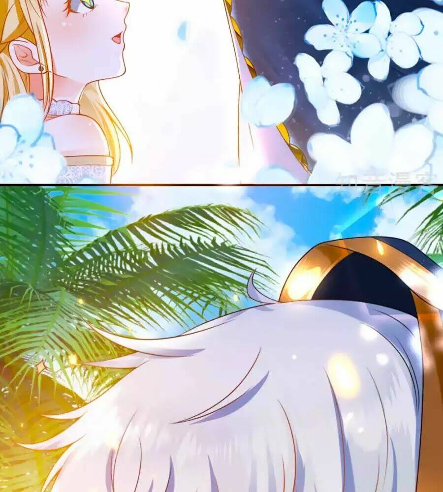 Sủng Hậu Của Vương: Chapter 19