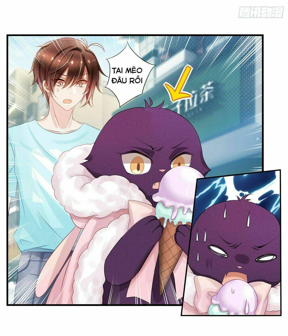 Làm Mèo Của Ta: Chapter 4