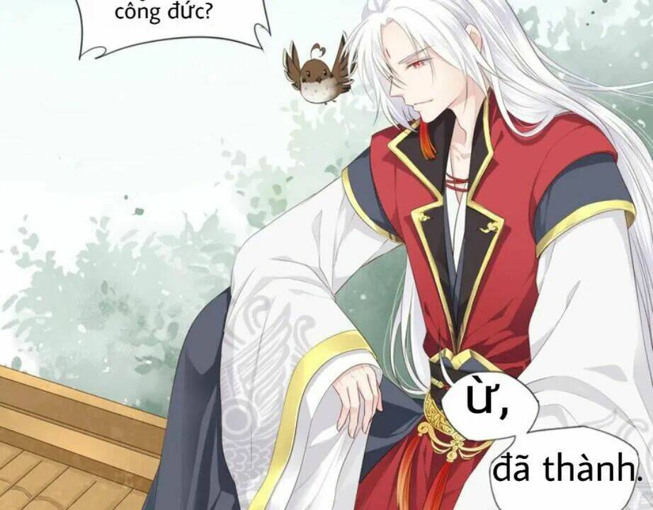 Tước Kiều Tiên: Chapter 2.1