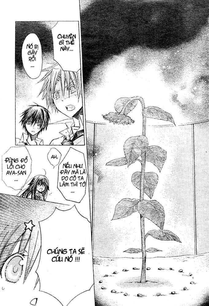 Kokoni Iru Yo: Chapter 19