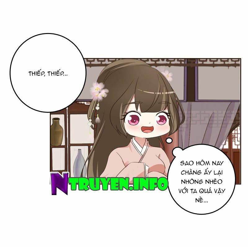 Thông Linh Phi: Chapter 213