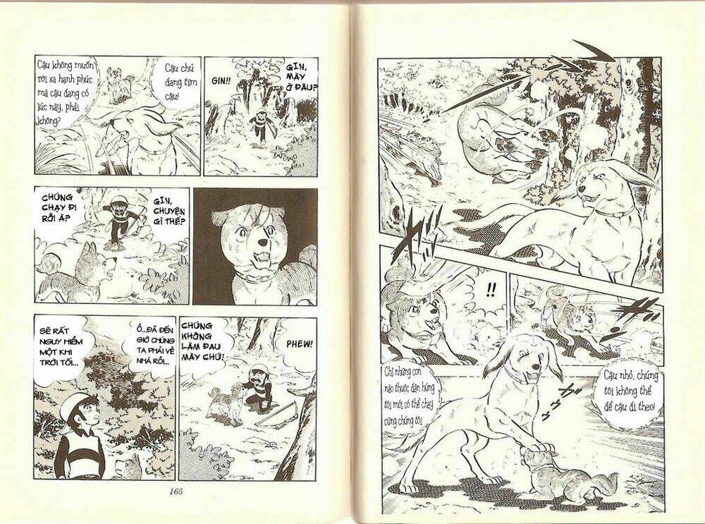 Chú Chó Có Nghĩa - Ginga Nagareboshi Gin: Chapter 10