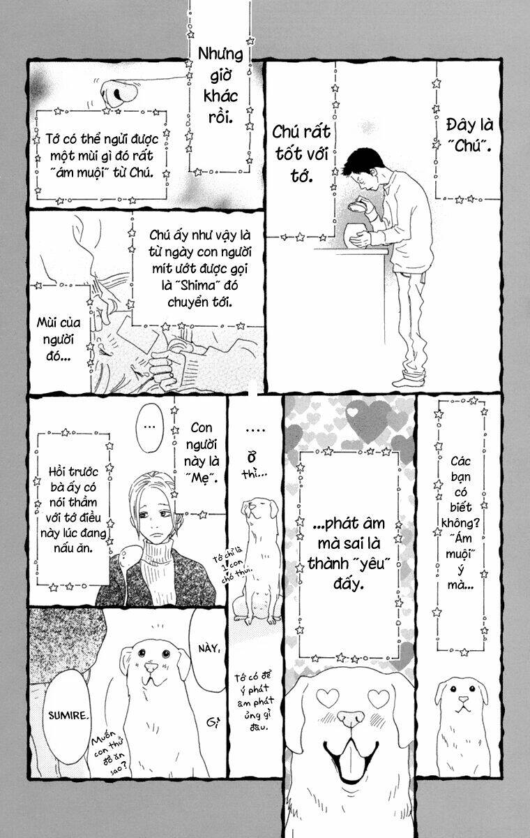 Principal: Chapter 8