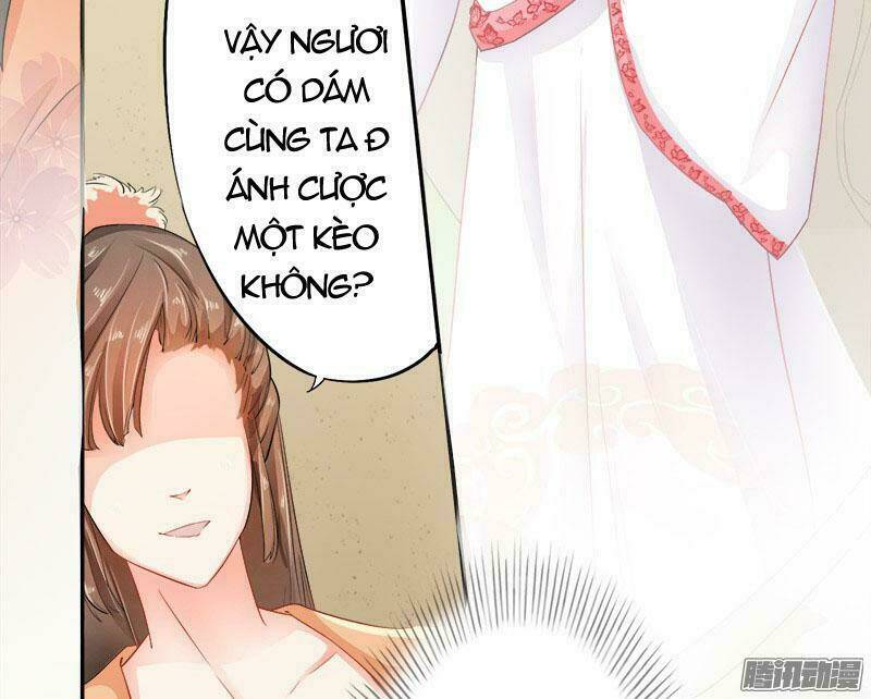 Tuyệt Thế Luyện Đan Sư: Chapter 6