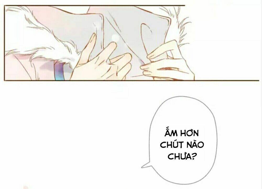 Tình Yêu Là Màu Hoa Anh Thảo: Chapter 29.2