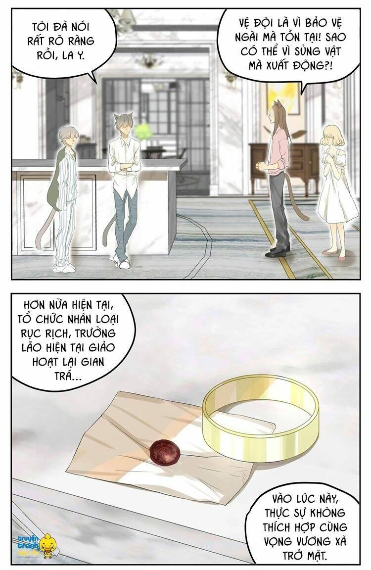 Cứu Mạng! Loài Mèo Thống Trị Thế Giới Rồi!: Chapter 19