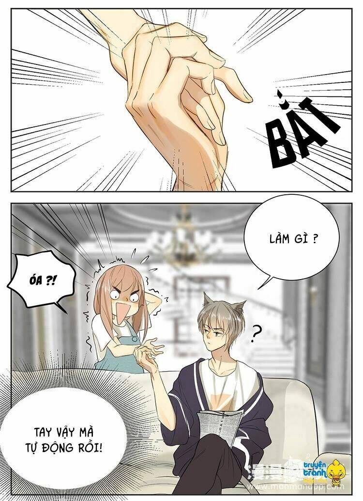 Cứu Mạng! Loài Mèo Thống Trị Thế Giới Rồi!: Chapter 13