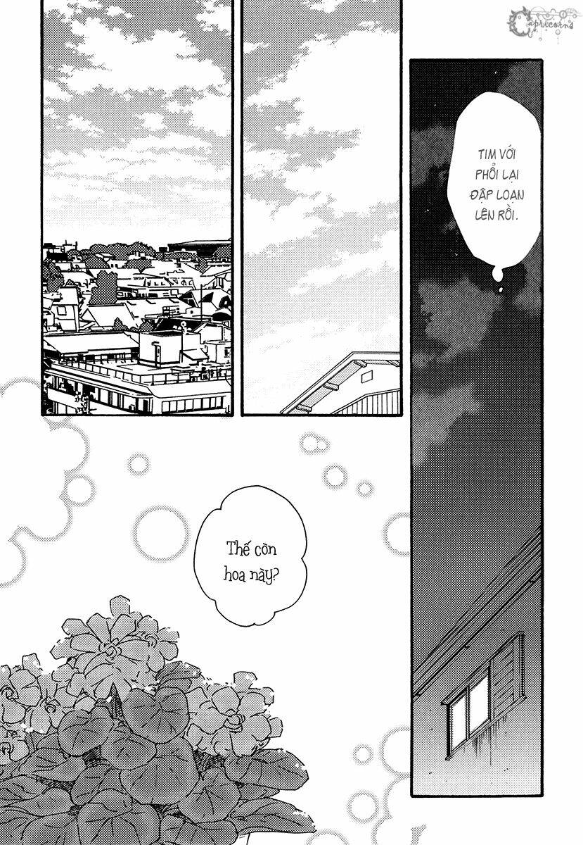 Mơ Ước Của Chúng Tôi: Chapter 6