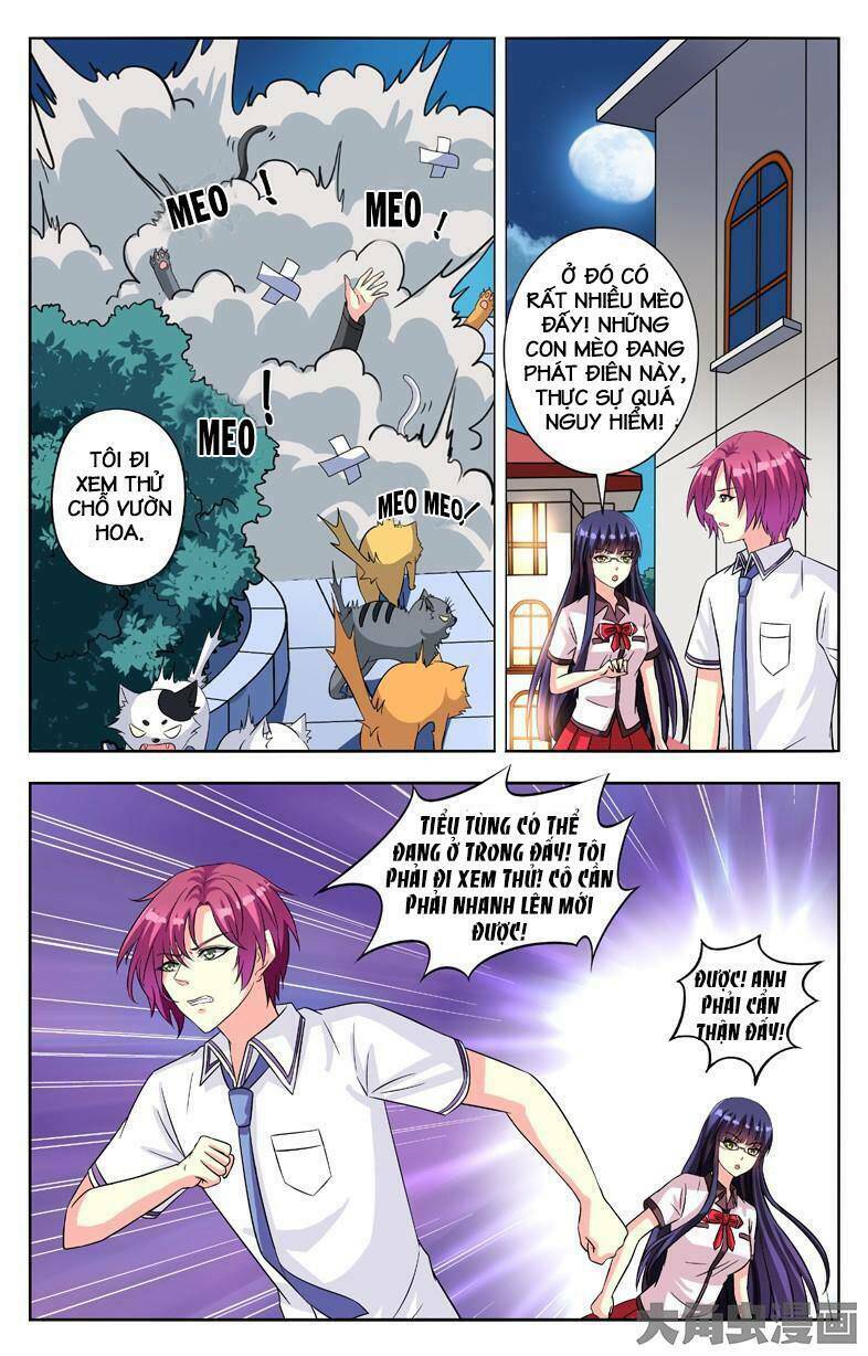 Nam Thần Của Tôi: Chapter 54