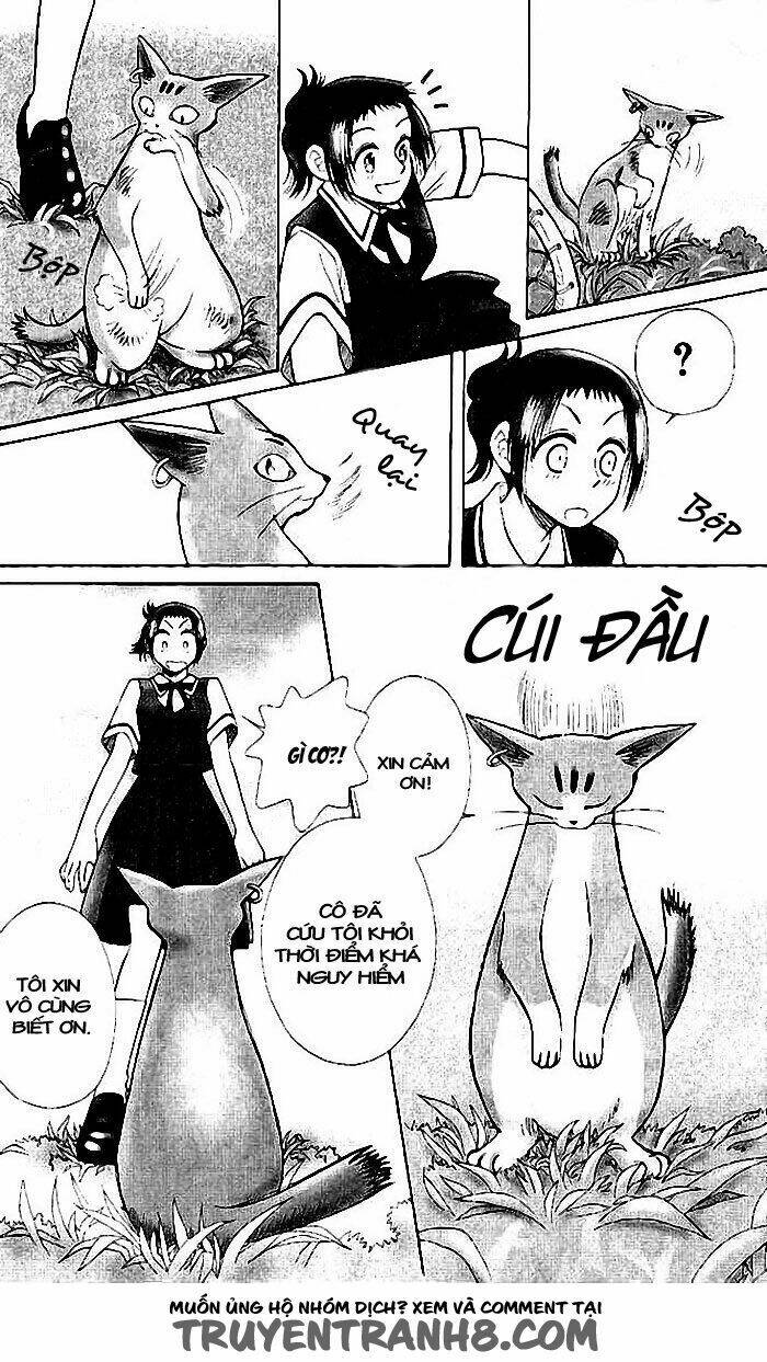 Lời Thì Thầm Từ Trái Tim: Chapter 6