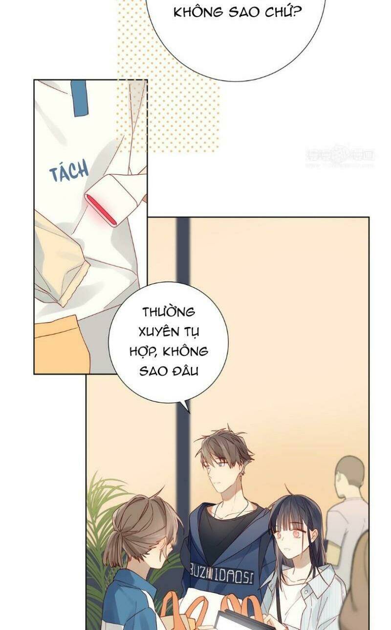 Lời Thề Như Sương Triều: Chapter 17