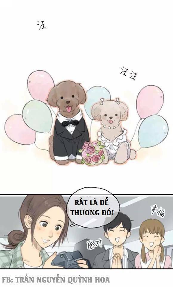 12 Giờ Của Lọ Lem: Chapter 16