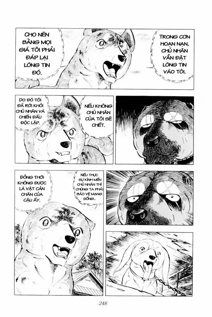 Chú Chó Có Nghĩa - Ginga Nagareboshi Gin: Chapter 30.1