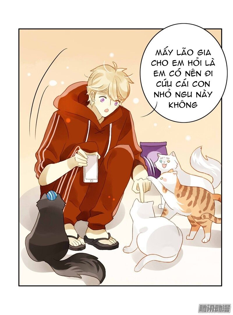 Sức Mạnh Của Sắc Đẹp: Chapter 58