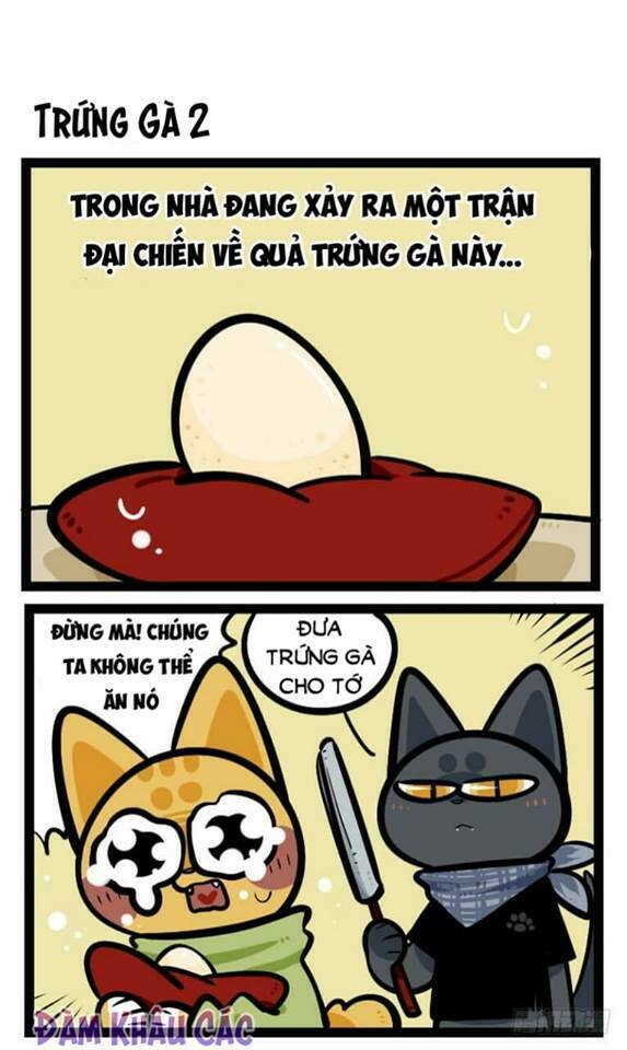 Đời Không Như Mình Tưởng: Chapter 40