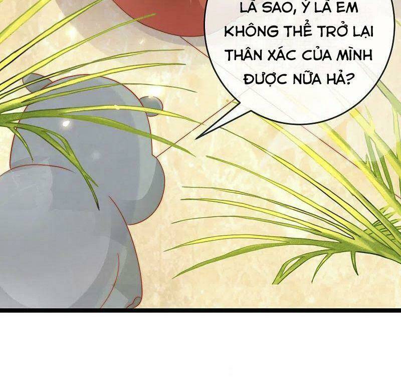 Sủng Hậu Của Vương: Chapter 120