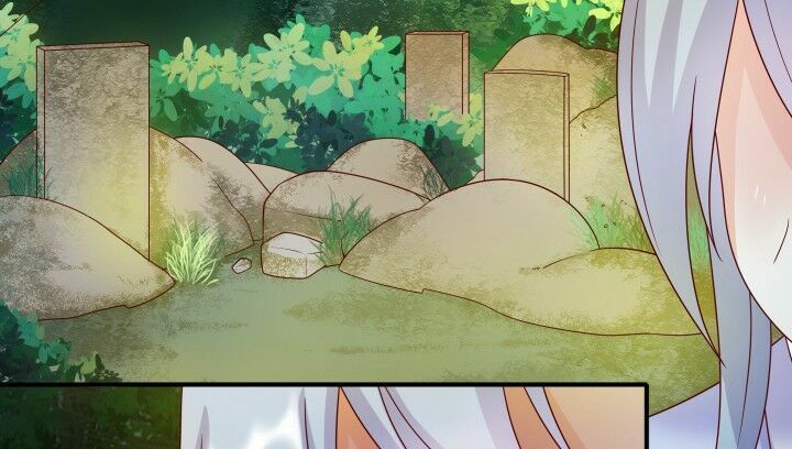 Đô đốc đại nhân sủng thê kí: Chapter 1.8