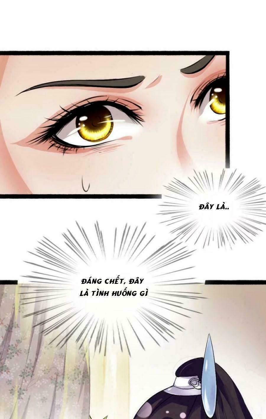 Đế Vương Sợ Vương Phi Muốn Sở Hữu Thiên Hạ: Chapter 3