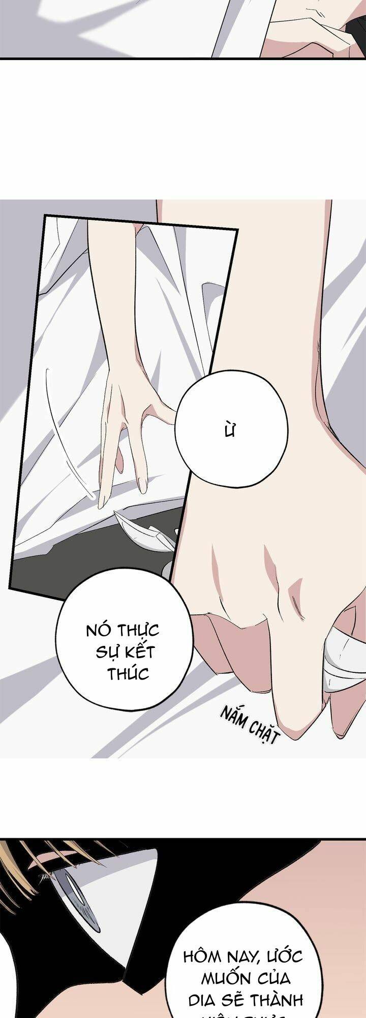 Tình Điên Dại: Chapter 71